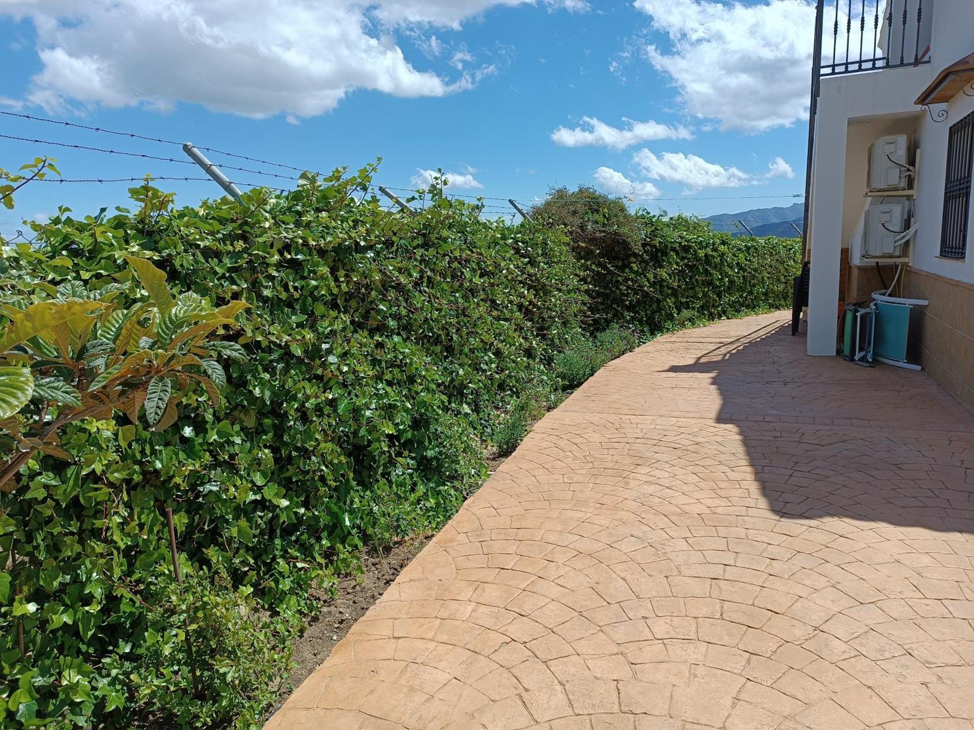 Casa Rural La Revuelta Con Las Mejores Vistas A La Naturaleza Yunquera Kültér fotó